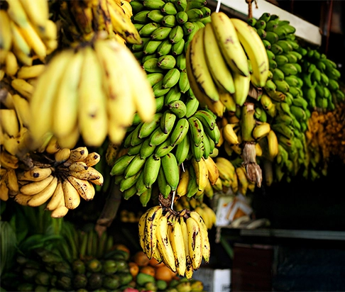 snack processing units in Palakkad, Kerala 